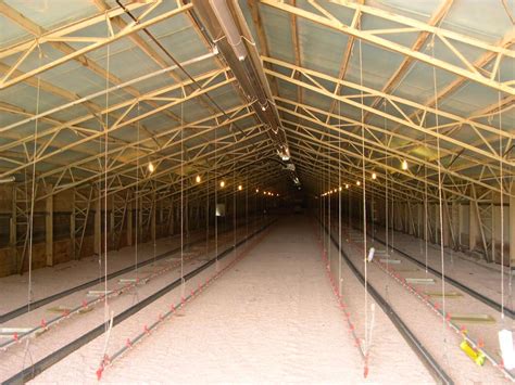 40 feet metal chicken house trusses|chicken house trusses tractorbynet.